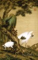 中国の伝統的な松の木の下で 2 羽の鶴が輝くラング